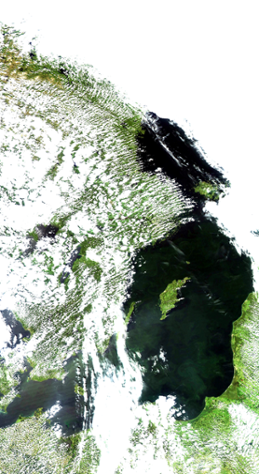 Algsituation 27 juni 2016 - satellitbild