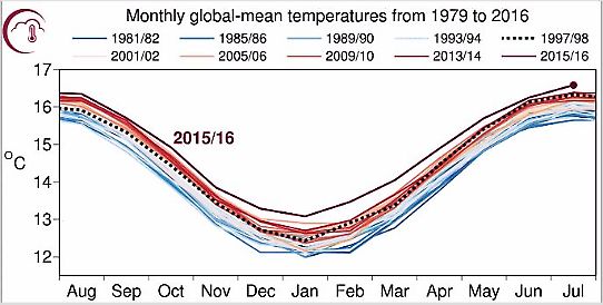 Globala månadsmedeltemperaturen i grader Celsius för perioden 1979-2016. 