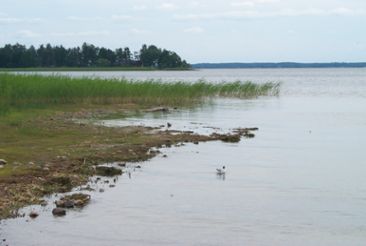 Lugn sommardag dag vid sjön Glan i Östregötland.