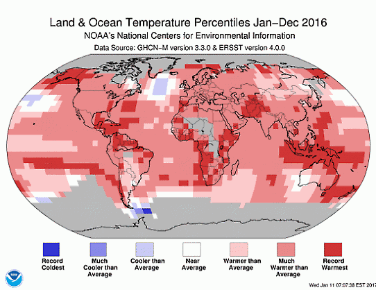 Global temperatur 2016