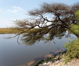 River Chobe in Botswana