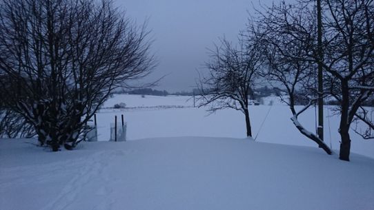 Snötäckt landskap i Brönnestad söder om Hässleholm den 10 februari.