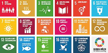 De globala målen i Agenda 2030, 17 mål för en hållbar utveckling