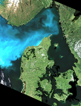 Satellitbild över coccolithoforidblomning i Västerhavet 2010-05-31