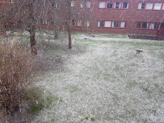 Den 27 april passerade snöhagel över Norrköping men bara en stund senare sken åter solen.