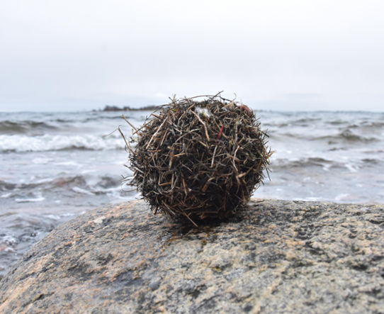 Sjöboll funnen på Åland, knappt 10 cm i diameter.