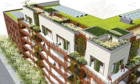 Illustration över gröna tak i Norra Djurgårdsstaden