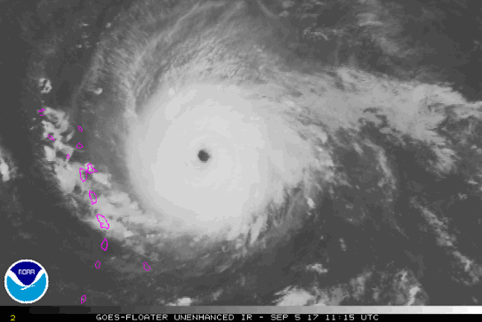 Satellitbild över kategori 5 - orkanen Irma