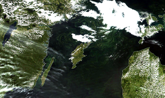 Satellitbild algblomning 2017