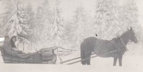 5 juni 1932. Bilden tagen i Långnästräsk, inte långt från Dalliden.