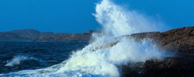 Skummet yr när vågor slår mot klippor