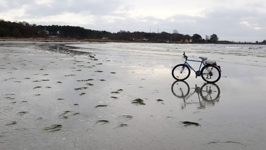 Cykel i Östersjön