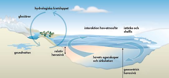 Illustration av det hydrologiska kretsloppet