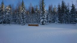 Stora snödjup i Skuleskogen