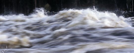 Forsande vatten vid vårflod i Mårdseleforsen