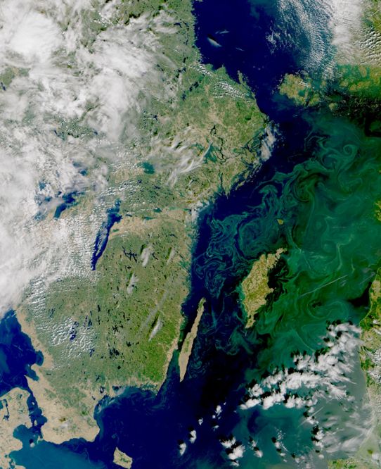Satellitbild visar algsituationen den 3 augusti 2018