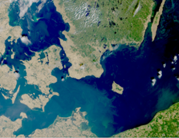 Satellitbild - algblomning 3 aug 2018