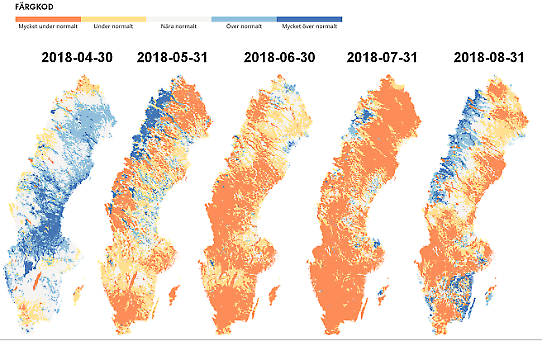 Lokal beräknad vattenföring över landet för olika datum
