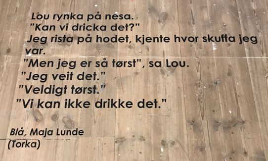 Citat ut Maja Lundes bok Blå