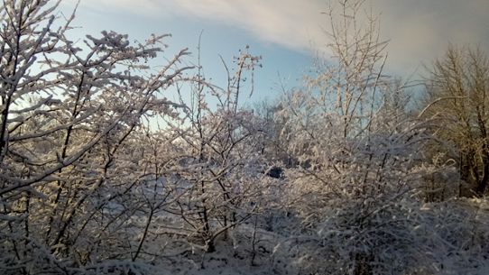 På förmiddagen den 17 december var Norrköping snötäckt samtidigt som solen kortvarigt tittade fram.