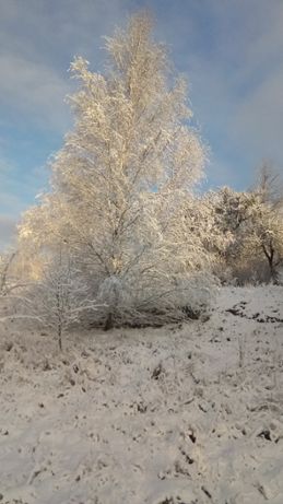 Omgivningarna kring SMHI i vinterskrud den 17 december 2018.