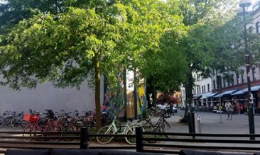 Gröna träd i stadsmiljö i Malmö