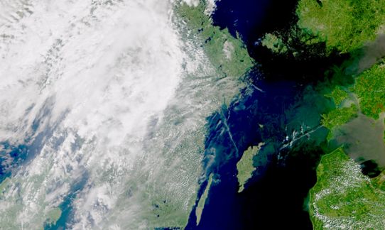 Den 18 juni var det klart över stora delar av Östersjöområdet, och begynnande blomning med cyanobakterier syntes till havs i mellersta Östersjön. Bilden är färgjusterad och framhäver de gröna tonerna till havs.