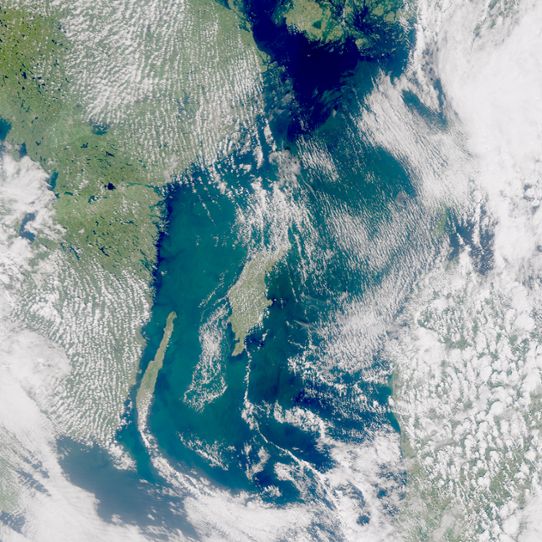 Satellitbild visar tydliga blomningar av cyanobakterier i västra delen av Östersjön