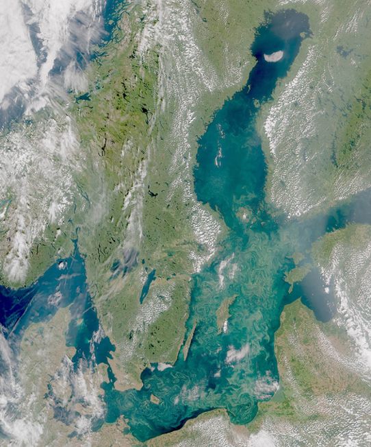 Satellitbild visar blomningen i Östersjön den 25 juli 2019.