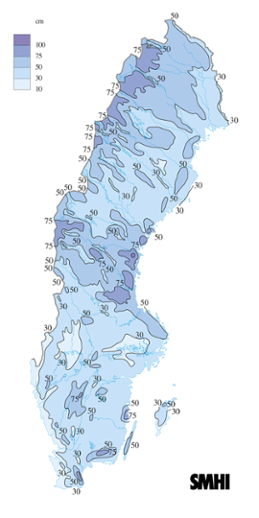 Julen och nyåret 2010 blev gnistrande vit i hela Sverige.