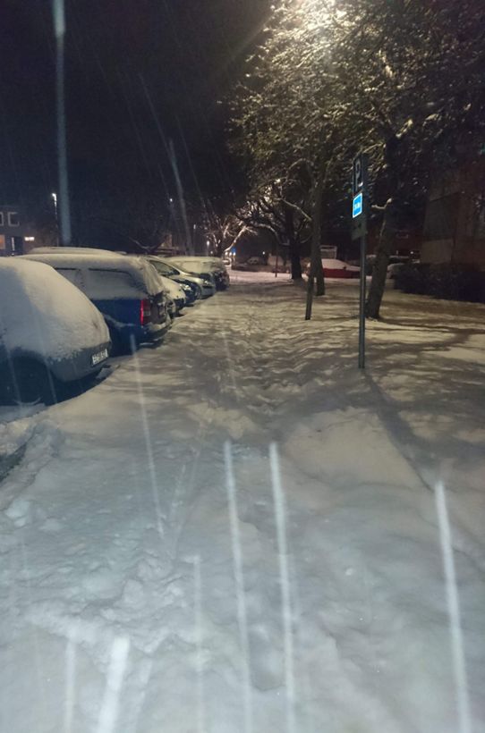 Vårkänslorna i Norrköping var som bortblåsta den 27 där det snöade under dagen.