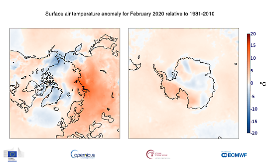Polär temperaturanomali i februari 2020