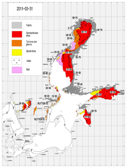 Karta över isutbredning och ytvattentemperatur i havet 31 mars 2011 