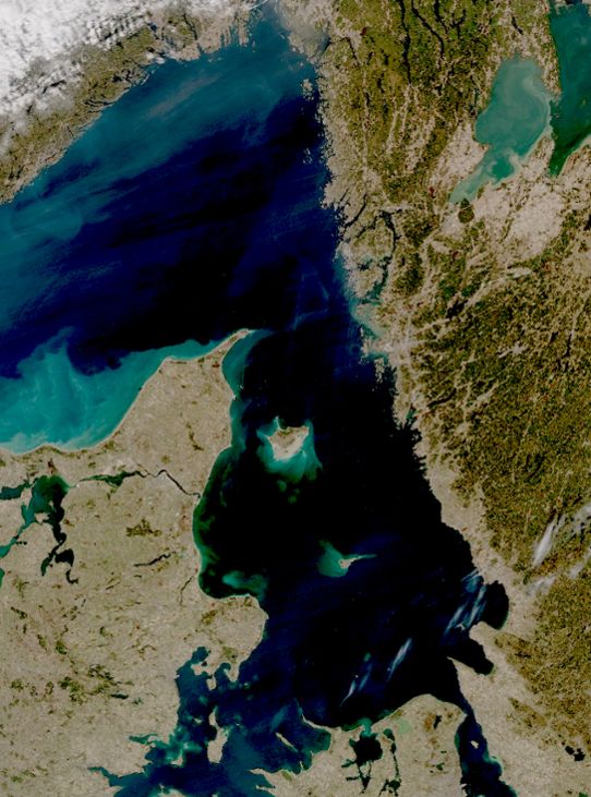 Satellitbild där man ser algblomningens utbredning.