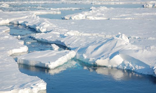 Arktis havsis som spruckit upp