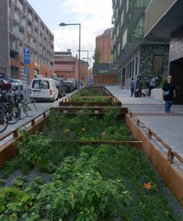 Planteringar i gatumiljö som urban grön infrastruktur i Stockholm