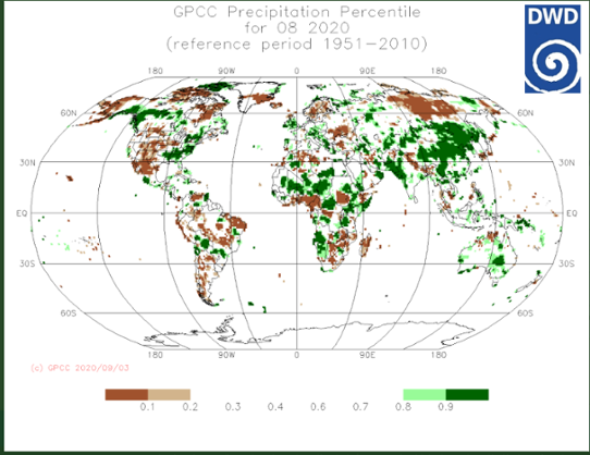 Global nederbördsavvikelse i augusti 2020