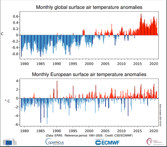 Månadsvis global temperaturanomali