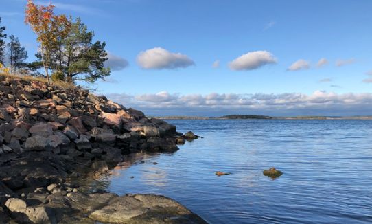 Vik av Östersjön, Bråviken