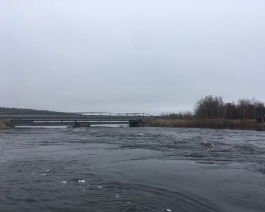 Idijoki, Mertajärvi