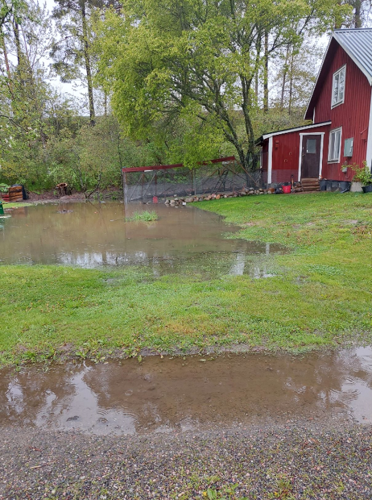 Det föll mycket regn, 44,5 mm, i Sköldinge i Södermanland den 26 maj.