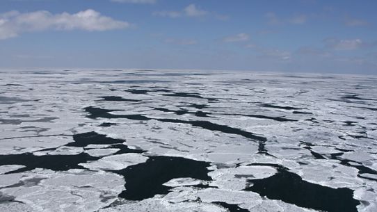 Melting sea ice north of Canada. 