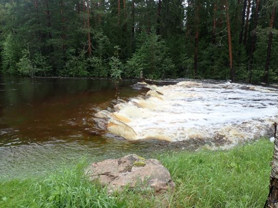 Vattenflöden förbi SMHIs station Hyttingsheden i Hyttingsån sydväst om Borlänge den 18 september.