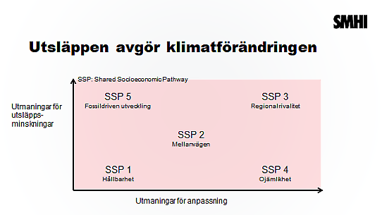 Diagram som visar förhållandet mellan olika SSP:er, beskrivs i texten..