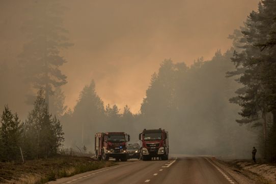 två brandbilar skogsbrand bakgrund