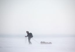 En person på längdskidor drar en släde efter sig i ett blåsigt snöväder.