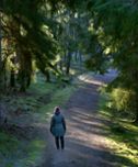 Person promenerar i skogen