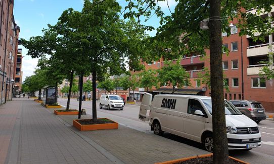 Stadsgata kantad av träd, mätutrustning på ett träd. SMHI-bil parkerad vid trottoaren. 