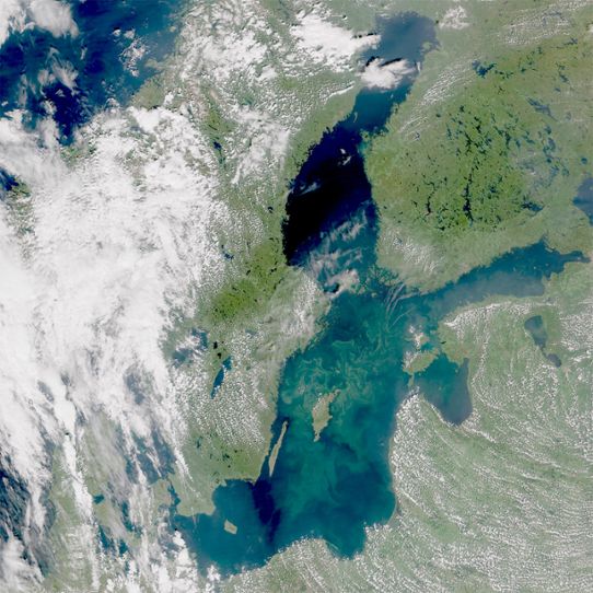 Gröngula blomningar runt Gotland syns tydligt på satellitbild.