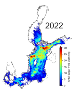 Karta visar totalt antal dagar 2022 då cyanobakterier detekterats från satellit.